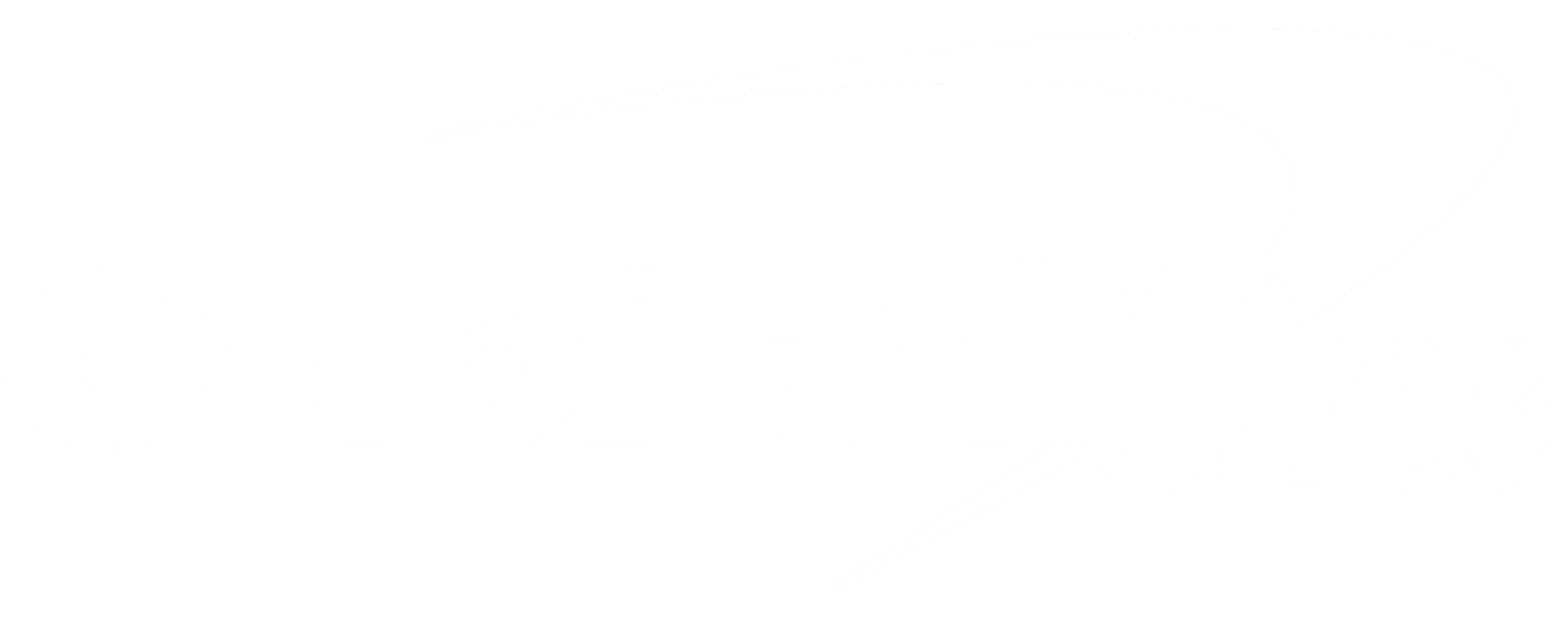 Capital One logo