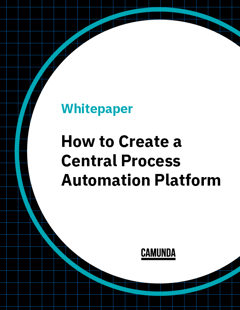 Central-Process-Automation-Platform_WP-thumbnail